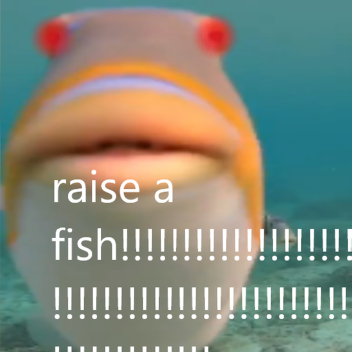 raise a fish