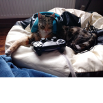 iamcooliwillbeatpiggy