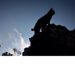 STARCLAN'S SILENCE