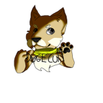 ~ The Doge Cult ~