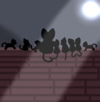 My cat family :3