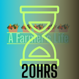 [☀️🌻SUMMER☀️🌻] 🧑‍🌾 A Farmer's Life 🧑‍🌾