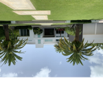 The ninjas of Roblox.com