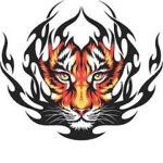 The Big Cats of Roblox