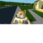 DOGEYYYYYYYY GANG