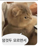 제리 커뮤니티