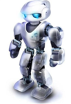 robo warriors