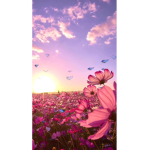 Sunshineflowergirl