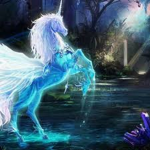 Unicorn Protective Services