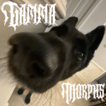 Gamma Morphs