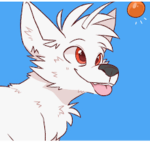 FURRY SUPPORT!
