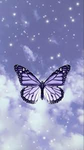 Purple16