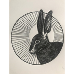 The Lost Rabbits