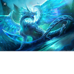 Dragonking team