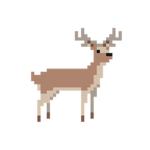 ElkBox