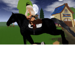 Horse fanss-