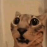 Hola que tengas un día maravilloso u-u