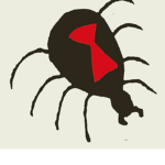 Spider Gang--