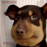 $HORDIESS