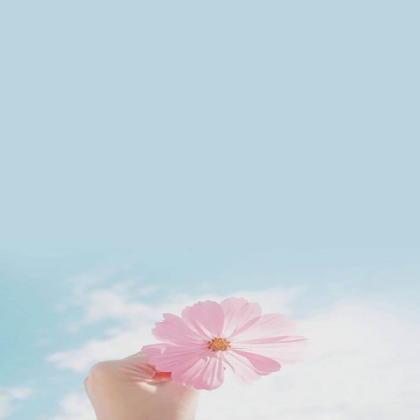 Pastel and Aestehtic Roblox decal