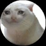 Cat Is Crying With Happiness