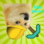 Doge Shirts