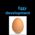 Eggy development