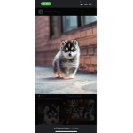 Kittys cute thing ever