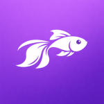 Purplefish Customs
