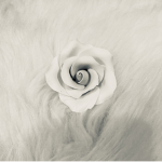 Silver。