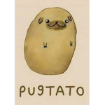 卩ㄖㄒ卂ㄒㄖ 丂ㄖ匚丨乇ㄒㄚ