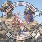 [US Armed Forces] 4th/6th Marines