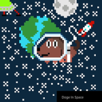 Doge in Space world