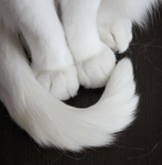 suyc