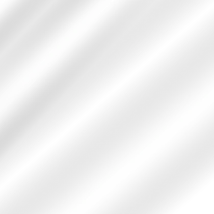 Window Shine