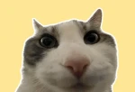 null Group Thumbnail