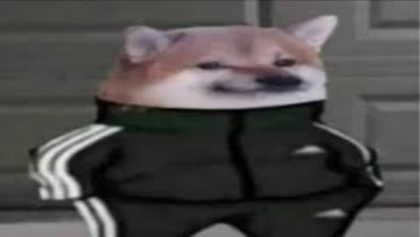 Dog Russia Roblox decal