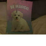 Be magical unicorns
