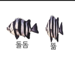 동주중
