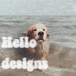 Hello! Designs
