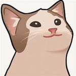 -[Pop Cat Studios]-