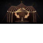 The circus of HAPPIENESS