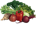 Vegetable