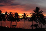 Tropicalist