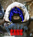 (STREET GANG)