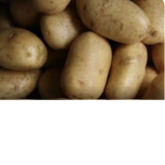 Potato Fan Club!!!!!