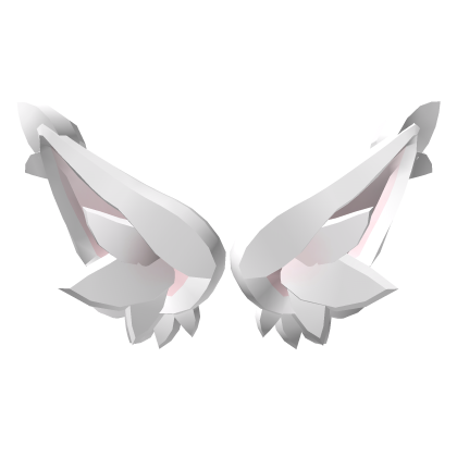 White Maine Coon Ears