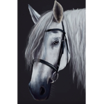 horsey girl<3