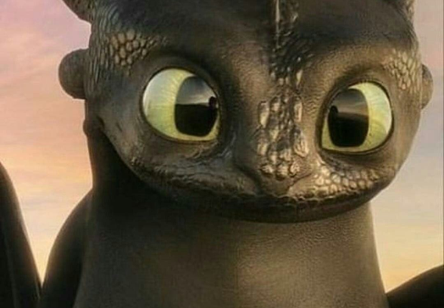 How To Train Your Dragon Game  screenshot 2