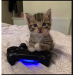 Hello guys you are very welcome here